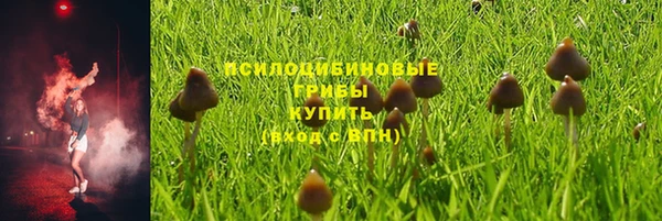тгк Алексеевка