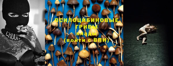 а пвп мука Костерёво