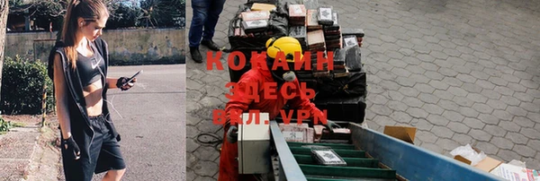 бошки Алзамай