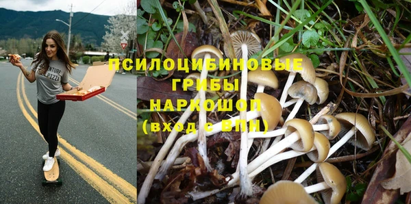 тгк Алексеевка